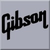 Gibson Guitar Flight Cases